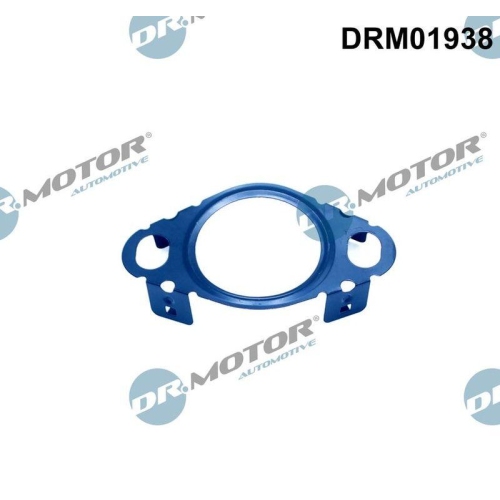 Dr.Motor Automotive Dichtung, Leitung AGR-Ventil DRM01938