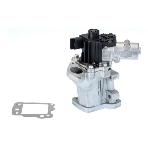 BorgWarner AGR-Ventil 710975D