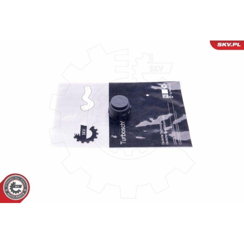 ESEN SKV Verschlussstopfen, Kühlmittelflansch