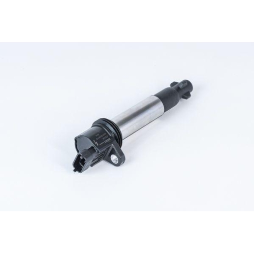 BorgWarner (BERU) Z&uuml;ndspule ZS558