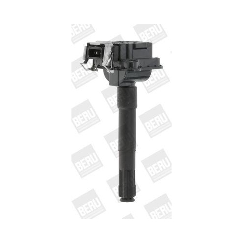 BorgWarner (BERU) Z&uuml;ndspule ZS017