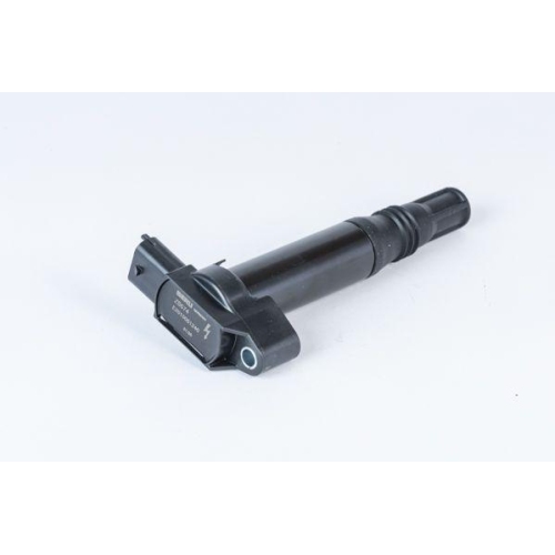 BorgWarner (BERU) Z&uuml;ndspule ZS574