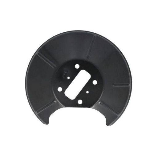BLIC Spritzblech, Bremsscheibe 6508-03-2532878K