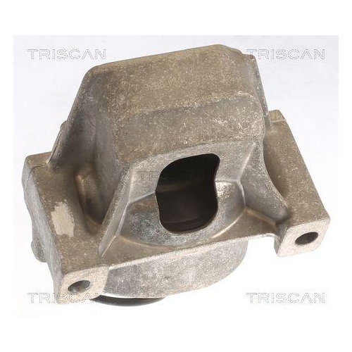 TRISCAN Lagerung, Motor 8505 29196