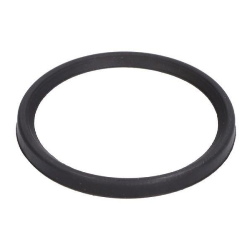 THERMOTEC Dichtring, Ladeluftschlauch DCC079TT