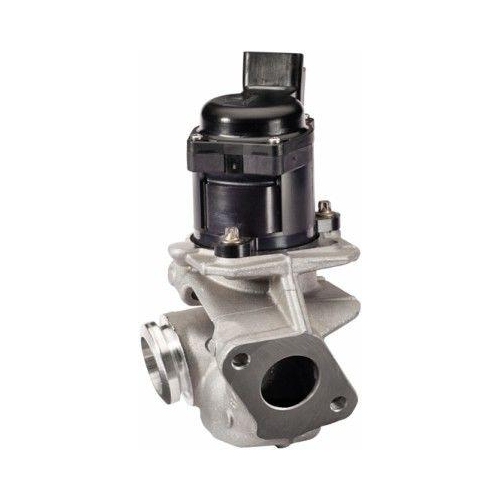 HELLA AGR-Ventil 6NU 010 171-121