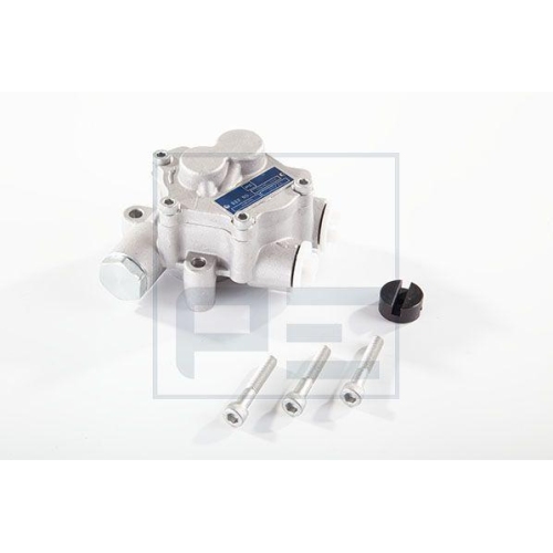 PE Automotive Kraftstoffpumpe 109.110-00A