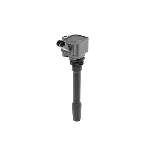 BorgWarner (BERU) Z&uuml;ndspule ZS587