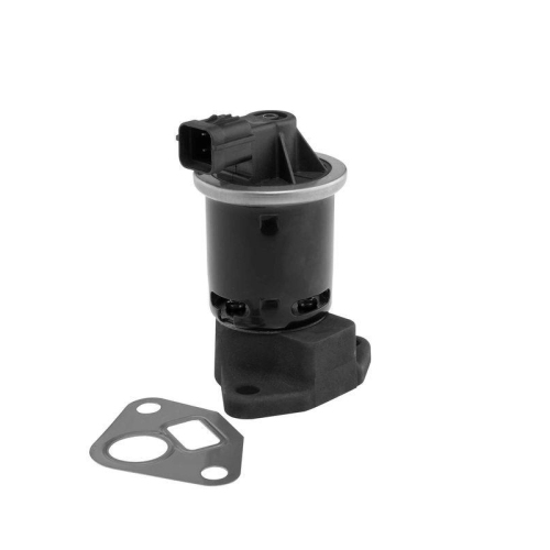BorgWarner AGR-Ventil 712061D