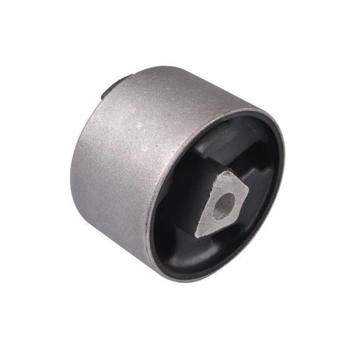 TEDGUM Lagerung, Motor