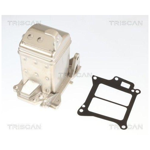 TRISCAN K&uuml;hler, Abgasr&uuml;ckf&uuml;hrung 8813 27010