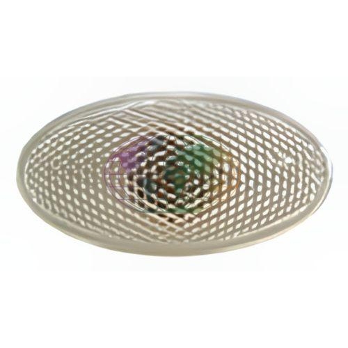 Lexmond Trading BV Blinkleuchte 8227310