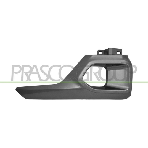PRASCO Zier-/Schutzleiste, Sto&szlig;f&auml;nger TY6501243