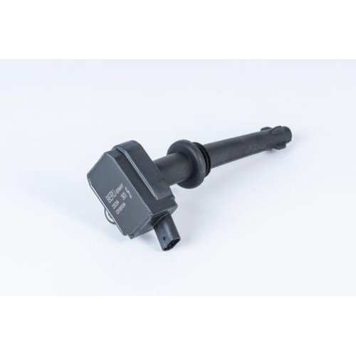 BorgWarner (BERU) Z&uuml;ndspule ZSE204