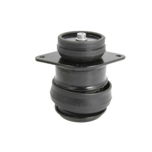 REINHOCH Lagerung, Motor RH11-0012