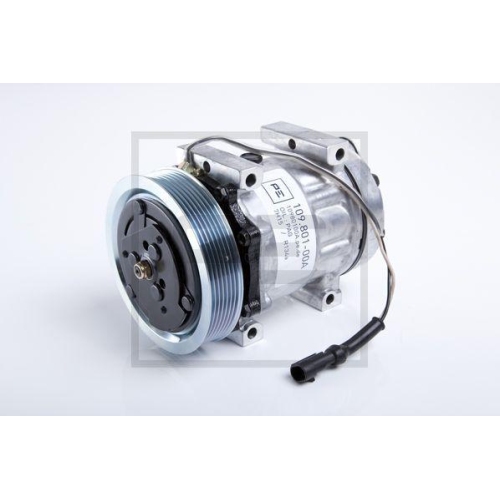PE Automotive Kompressor, Klimaanlage 109.801-00A