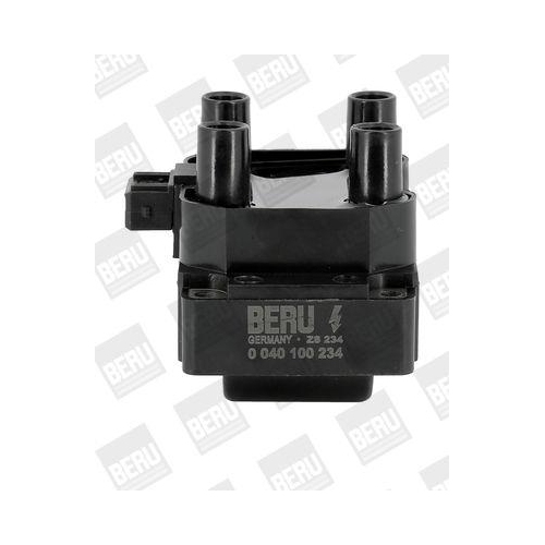 BorgWarner (BERU) Z&uuml;ndspule ZS234