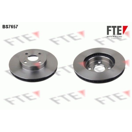 FTE Bremsscheibe 9072812