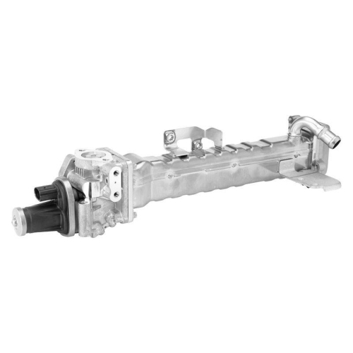 BorgWarner AGR-Modul OE-Version/Erstausr&uuml;stung 749008D0