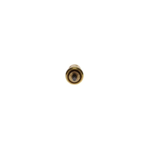 BOSCH Thermostat, K&uuml;hlmittel 1 467 202 302