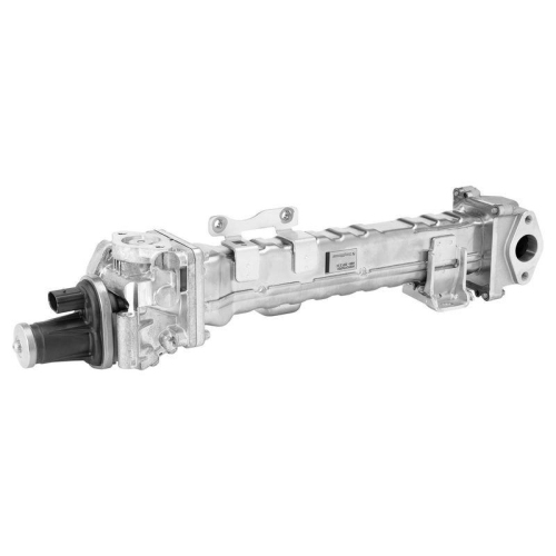 BorgWarner AGR-Modul OE-Version/Erstausr&uuml;stung 749009D0