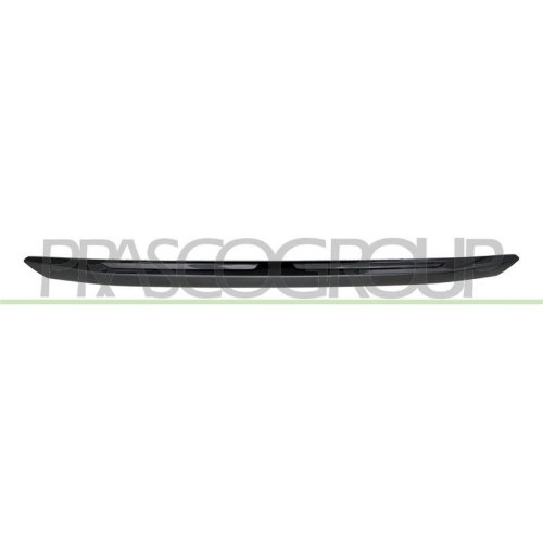 PRASCO Zier-/Schutzleiste, Sto&szlig;f&auml;nger TY6501245