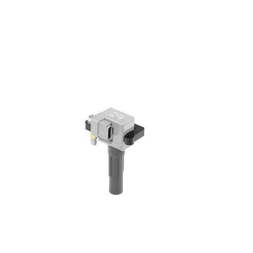 BorgWarner (BERU) Z&uuml;ndspule ZSE213
