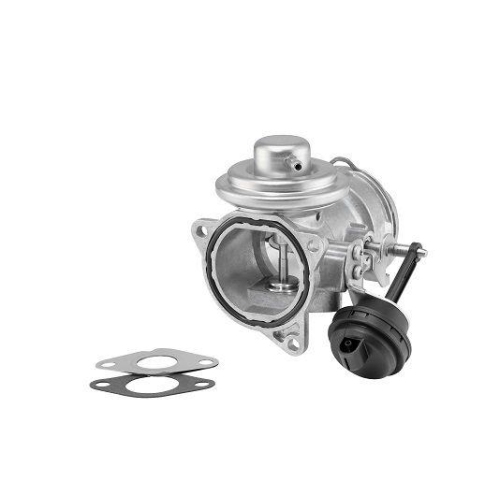 BorgWarner AGR-Ventil 7371D
