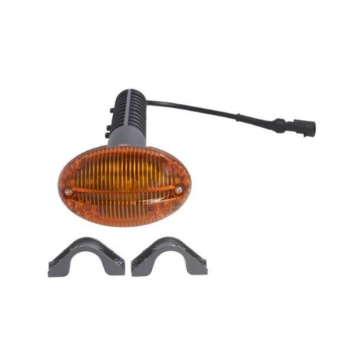 TRUCKLIGHT Blinkleuchte CL-IV013L
