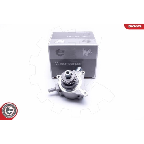 ESEN SKV Unterdruckpumpe, Bremsanlage