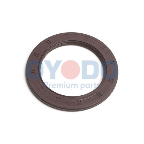 Oyodo Wellendichtring, Kurbelwelle