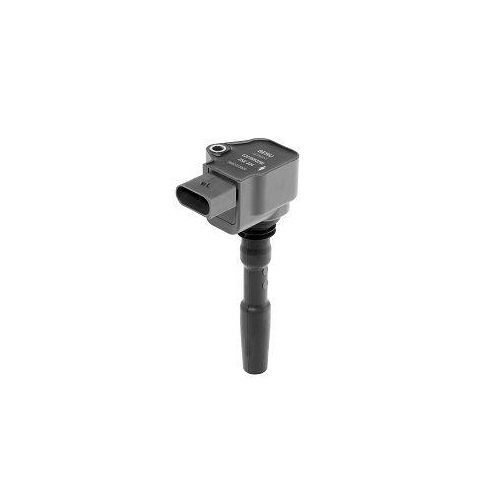 BorgWarner (BERU) Z&uuml;ndspule ZSE224