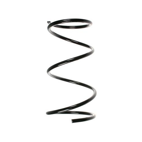 SPIDAN Fahrwerksfeder 49459