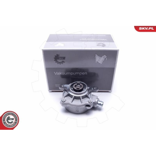 ESEN SKV Unterdruckpumpe, Bremsanlage