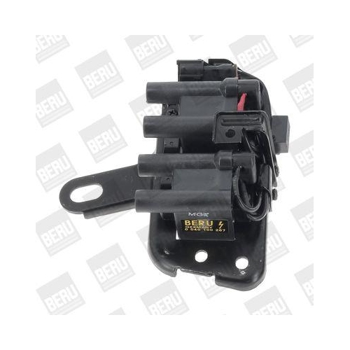 BorgWarner (BERU) Z&uuml;ndspule ZS267