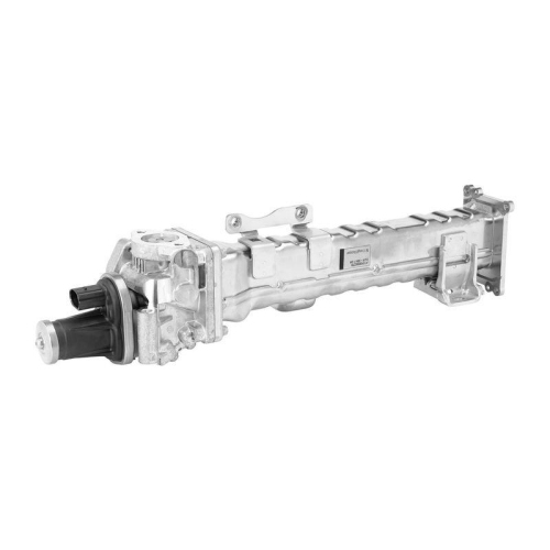 BorgWarner AGR-Modul OE-Version/Erstausr&uuml;stung 749011D0