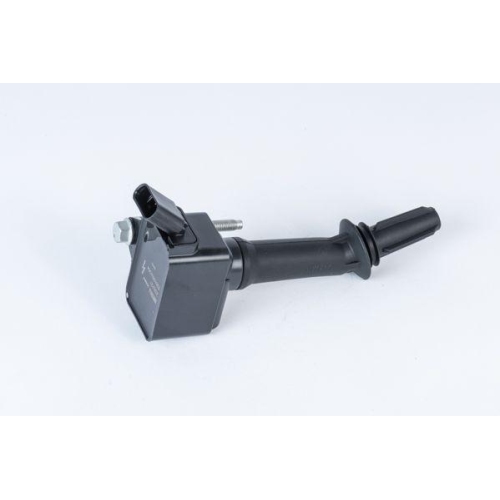 BorgWarner (BERU) Z&uuml;ndspule ZSE237