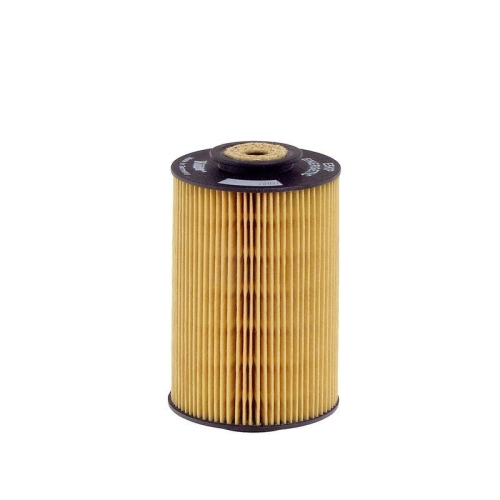HENGST FILTER Kraftstofffilter E5KP D12