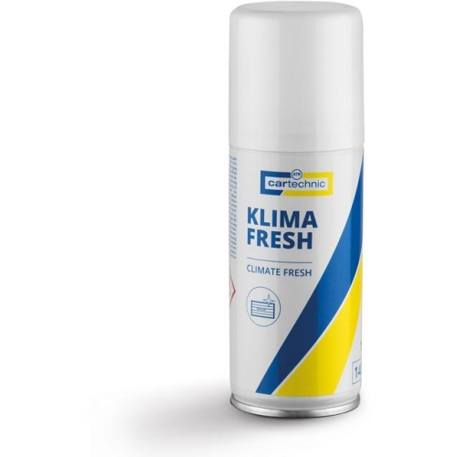 Klimaanlagen-Reiniger Desinfektion Geruchsvernichter 100ml Cartechnic Fresh