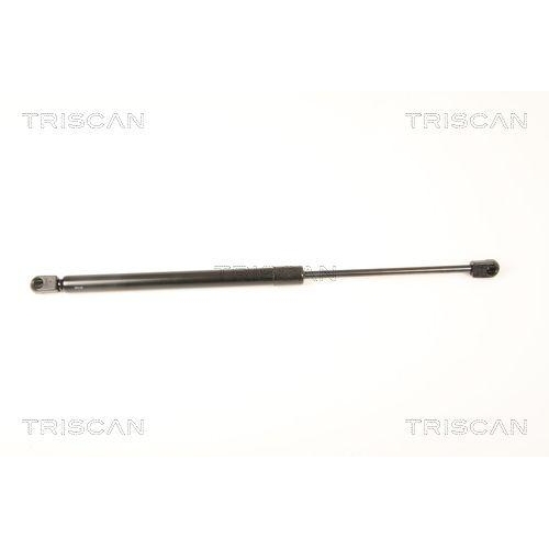 TRISCAN Gasfeder, Koffer-/Laderaum 8710 29287