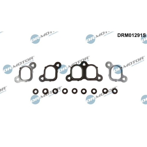Dr.Motor Automotive Dichtungssatz, Ansaugkr&uuml;mmer DRM01291S