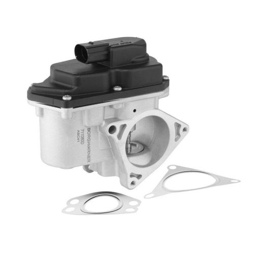 BorgWarner AGR-Ventil 711080D