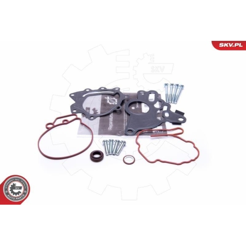 ESEN SKV Reparatursatz, Unterdruckpumpe (Bremsanlage)