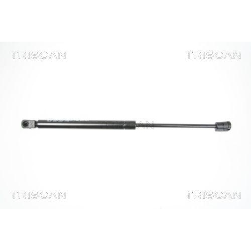 TRISCAN Gasfeder, Koffer-/Laderaum 8710 25238