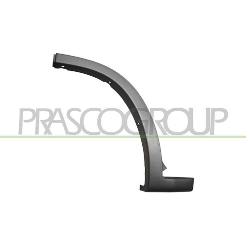 PRASCO Zier-/Schutzleiste, Kotfl&uuml;gel FT9301582