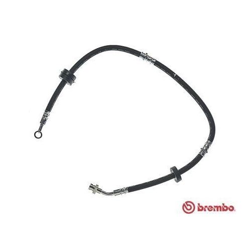 BREMBO Bremsschlauch ESSENTIAL LINE T 79 009