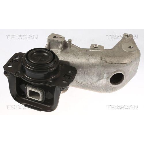 TRISCAN Lagerung, Motor