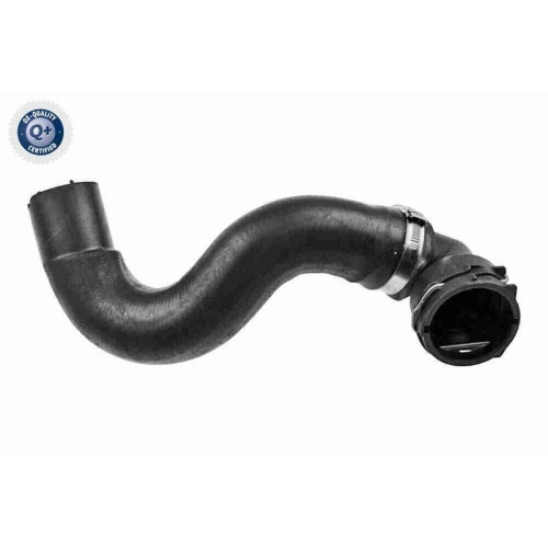 VAICO K&uuml;hlerschlauch Q+, Erstausr&uuml;sterqualit&auml;t V24-1168