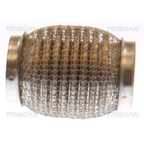 TRISCAN Flexrohr, Abgasanlage 7000 10113