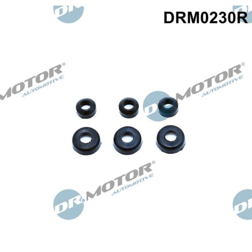 Dr.Motor Automotive Dichtung, Zylinderkopfhaubenschrauben DRM0230R